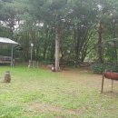 송학산장 - 고흥군 | 송학산장