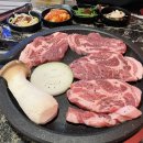 쎈밤 네이버블로그