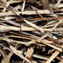 두드림지압안마원 이미지