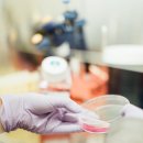 한나셀의원 이미지