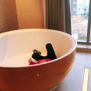 그랜드베른호텔 이미지