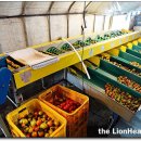 강서부산농장 이미지