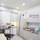 코끼리소아청소년과