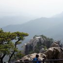 에덴동산 이미지