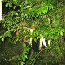 당산휴게소 이미지