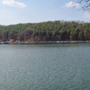 고모리691 이미지