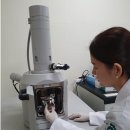 백두전자 이미지