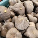 내기농장 이미지