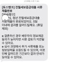 세기부동산중개법인주식회사 | 토스 청년맞춤형 전월세대출 후기 / 무소득자