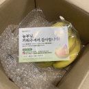 소정농장 | 앱테크 추천, 작물을 직접키워 배송으로 받는 내손안의 농장 올팜