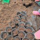 민건농장 이미지