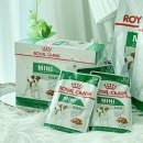 로얄펫동물병원 이미지