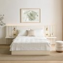 신세계약품 이미지