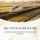 칼림바로 떠나는 유럽음악여행 | 4월에 떠나는 유럽 기차 여행 루트 추천: 암스테르담부터 바르셀로나까지