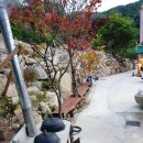 UR(계룡시)-[계룡대로]-상-25 | 공주계룡산펜션 놀러갔어요:D 대전 가깝고 가격착한 계룡산동학사펜션으로 단체모임추천♡후기~