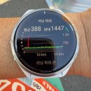 누구개요 | 2025 MBN 서울마라톤 하프 완주 후기 - 성장의 기록 🏃‍♂️✨대회 개요