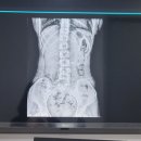 참본의원 이미지