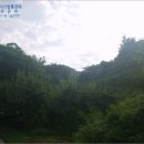 태인길 네이버블로그