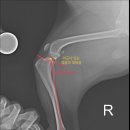 구름동물병원 이미지