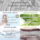 테라오토
