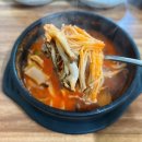 별꼴버섯