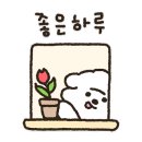 상록우리들소아청소년과의원 이미지