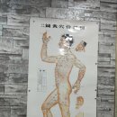 엔자임힐링마사지전통경락안마원 네이버블로그