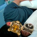 밤야식당 미아점 | 🍖😋미아역 이레돈까스막국수 숨은 로컬 맛집 추천 🌈✨