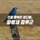 파랑새정신건강의학과의원 이미지