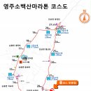 신영주주유소 - 6082 | 신영주주유소