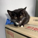 홈마트 송림점 이미지