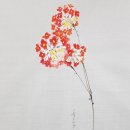 제이드팰리스 골프클럽 이미지