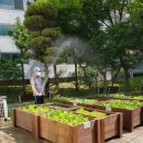 성남천연가스 경기경제신문
