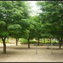 한옥촌신선마을 이미지