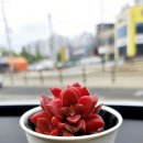 빛으로부터..(fr 이미지