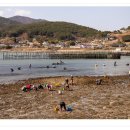 지족갯마을 이미지