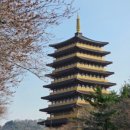 달바다펜션