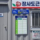 거제도 통영 가볼만한곳 장사도 해상공원 까멜리아 방문 후기