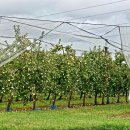 원예기능사 이미지