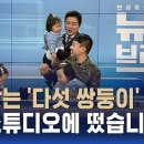 하루에 분유 한 통…오둥이의 생활은? / SBS / 이미지