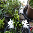 오늘의 선물 이미지