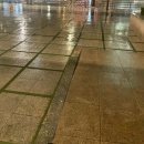 림스내과의원 | [공지] [3월 3주 차 병원기록] 면역력 저하, 싸이 모신 맞기 + 피부과가기 등등(4군데 병원 투어)