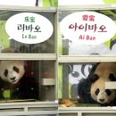 서울수의약품(주) 이미지