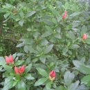 홍류동 화장실 이미지