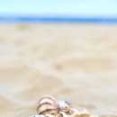 꼬리 흔드는 강아지 이미지