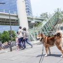 서울볼트
