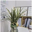 서울 행정사사무소 이미지