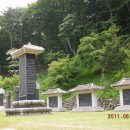 보성녹차(순천) Daum카페