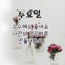 4월 13일(수) 어제는 정선갔다가 강릉에 다녀 왔습니다. 이미지