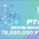 피톤라이프